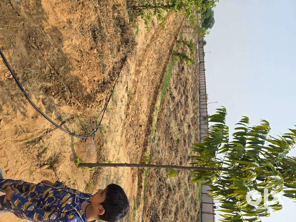 Are you looking farmhouse