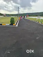 Escape to Nature – Affordable Land for Sale!