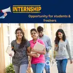 MBA - Internship in Digital Marketing & any Graduates can apply!