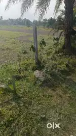 100Bigha Land available for sale near Srichanda School/ PNB on 16feet