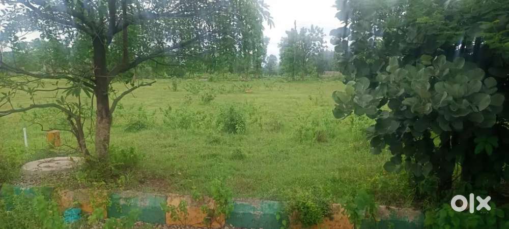 HMDA PLOT Shankar palli area