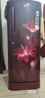 LG fridge single door