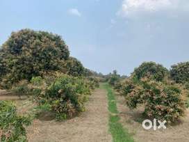 Commercial Plot&Agriculture Lands For Sale