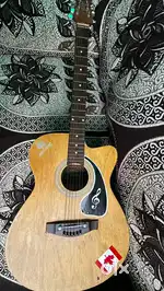 Mustang’s Acoustic Guitar