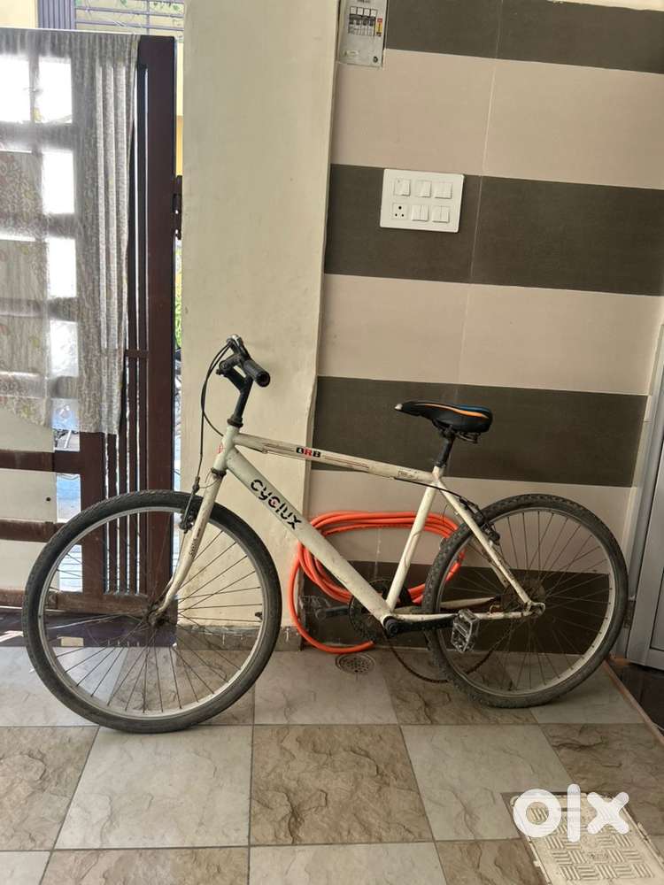 White cycle
