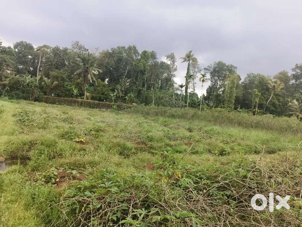 Plane Land For Selling ( price negotiable)