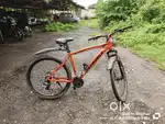 Schnell cycle