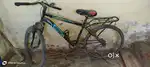Gang cycle 2 years old not run too muchh