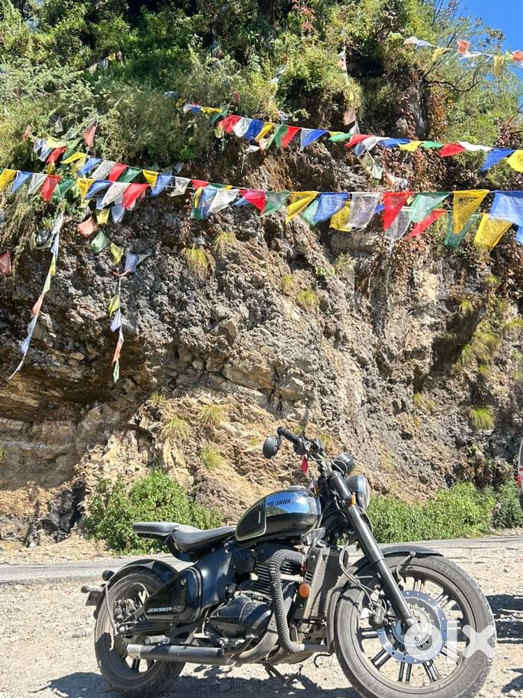 Java bobber 42 (2023)