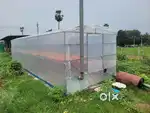 Solar dryer 30×9 feet