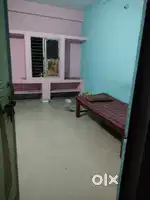 Want a female roommate urgently only for bachlors