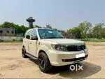 Safari strome Ex