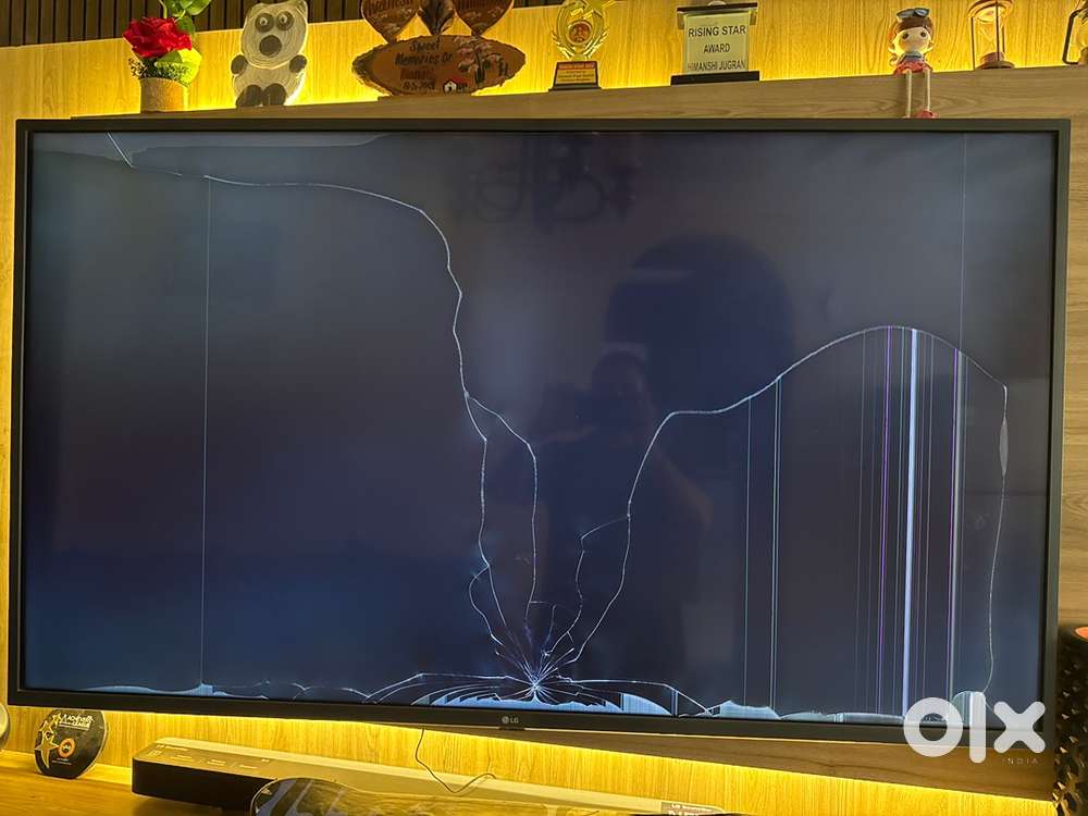 55” LG smart TV broken display