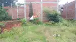 Near Circus road, Kushwaha basti, mughalsarai, Chandauli , 232101