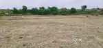 73 ghunta land
