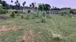 Sale for 2 plots near gantlam temple.