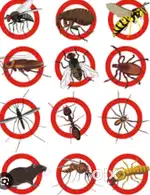 Affordable Pest Control in a Professional Way