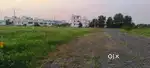 Pothuru 700mts from road