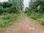 Gharabari plot