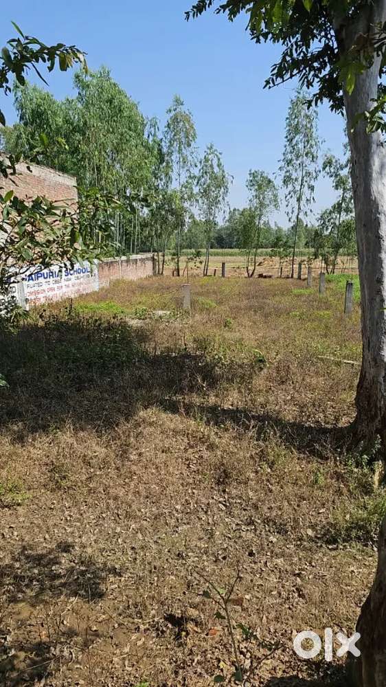 Commercial plot