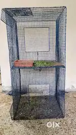 Big Size Cage / Pinjra for urgent sale...