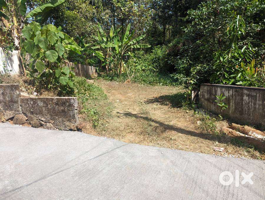 House plot  12 cents near Ettumanoor 3.5 lakh/cent