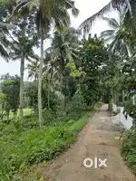 Plot for sale 45 cents road facing