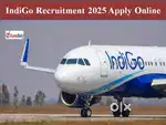 AIRPORT LARGEST JOBS GROUND STAFF TICKET CHECKER OR CABIN CREW DRIVER