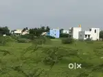 1000Sqft Land area 20x50