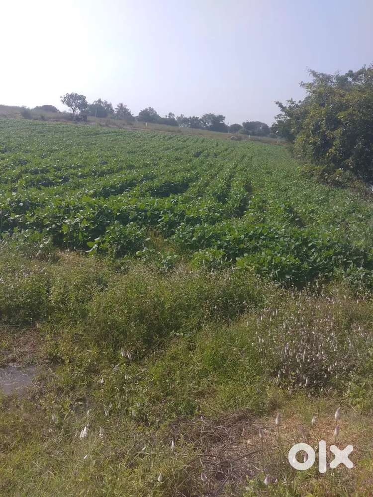 Daultabad మండల