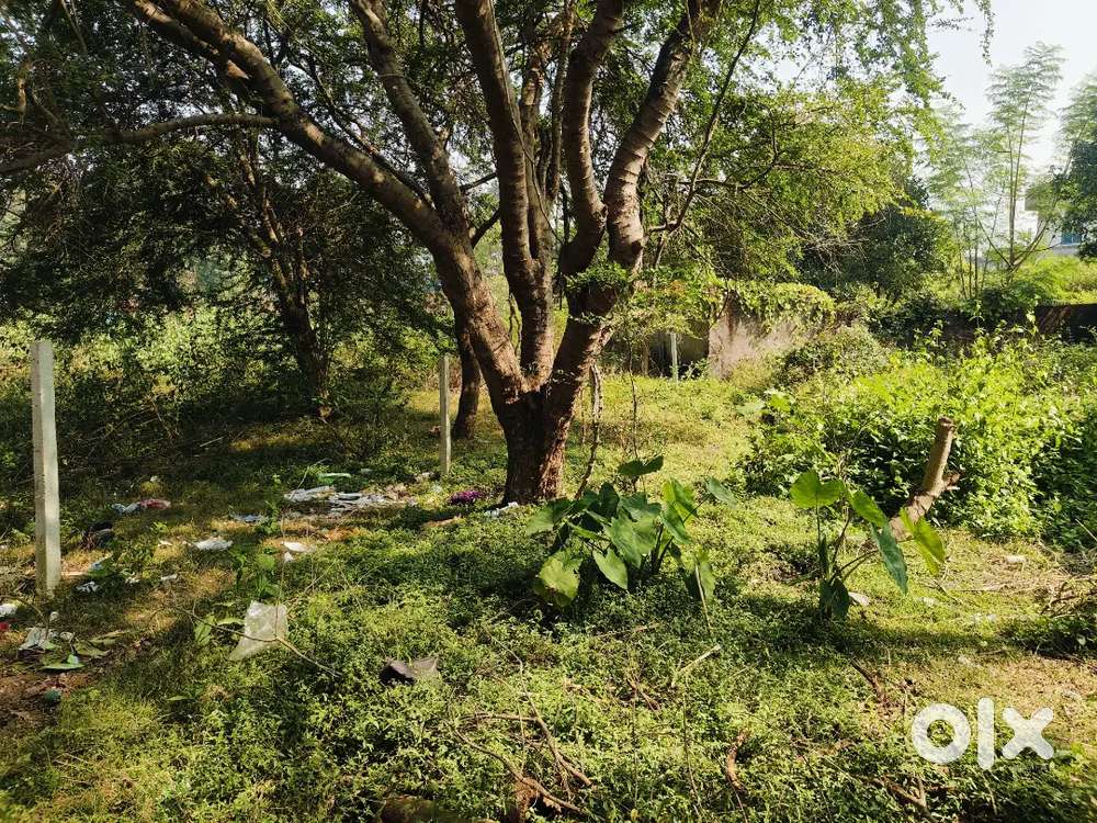 a1 condition hai koi bhi problem nhi hai plot pe all paper ok Hai