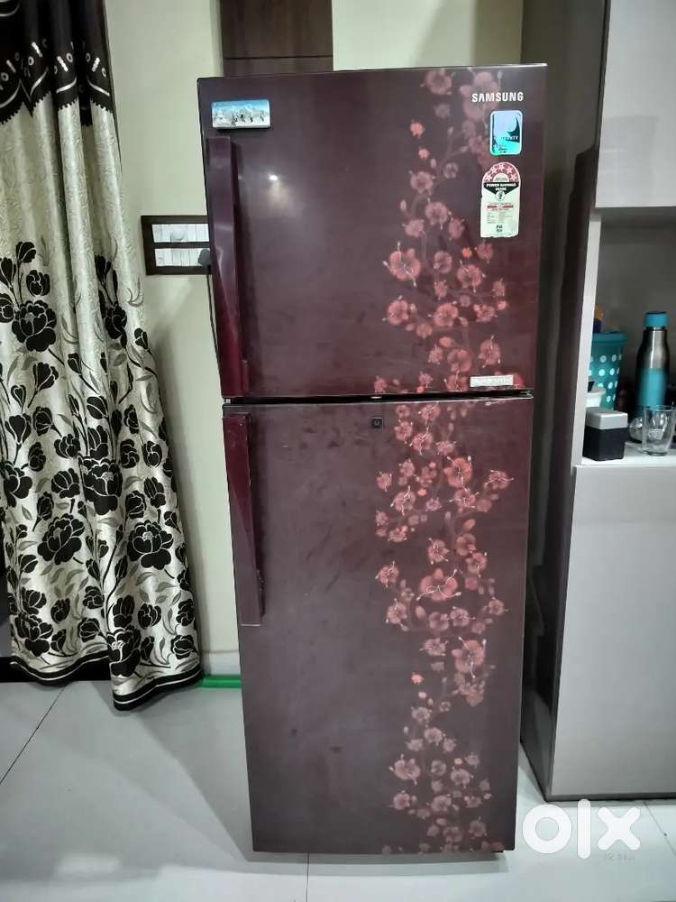 Samsung 235 L 5 Star Frost Free Double Door Refrigerator