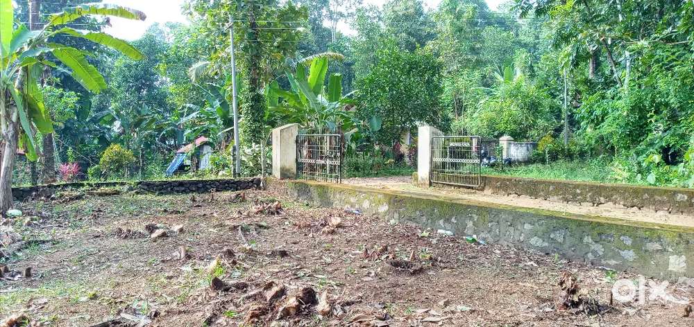 Land for sale 13cent near puthuppally vattathukavala
