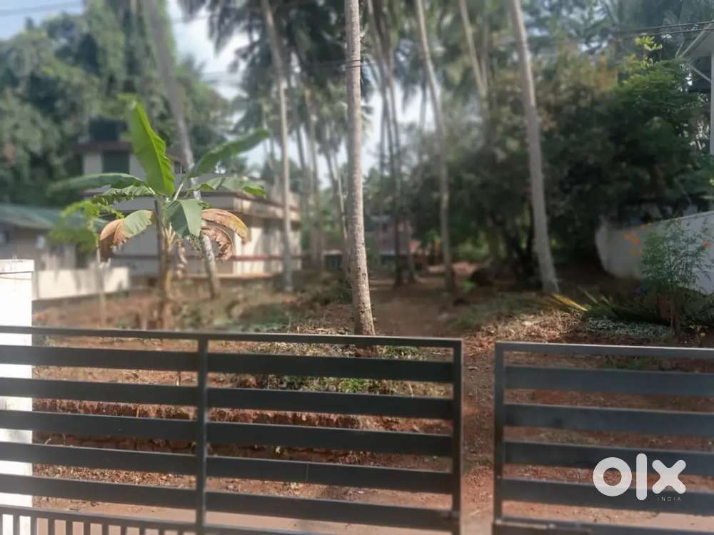 Urgent land for sale in Feroke