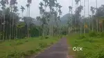 അമ്പലവയലിൽ 40 സെൻ്റ് സ്ഥലം വിൽപ്പനയ്ക്ക്