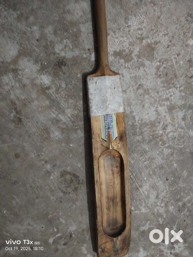 Cricket bat