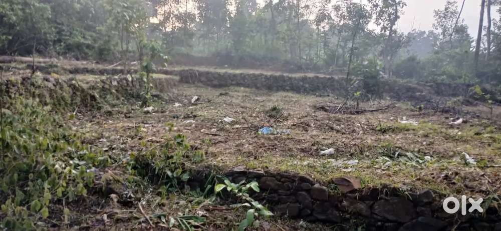 PWD,panchayath റോഡ് 2 വശങ്ങളിൽ.