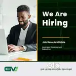 Business Development Executive