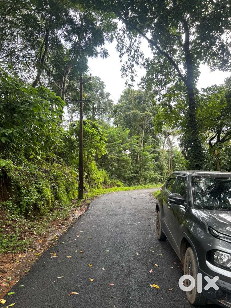 1.5 acres plot for sale