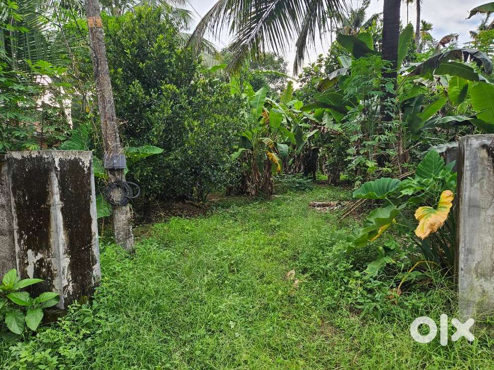 14 cent plot for sale