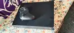 Xbox one X