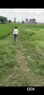 Plot is near to road, school, and milk dairy in Khatima.