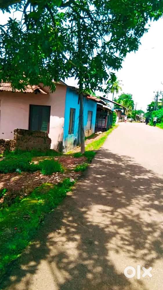 Keralapuram.4cent plot for sale