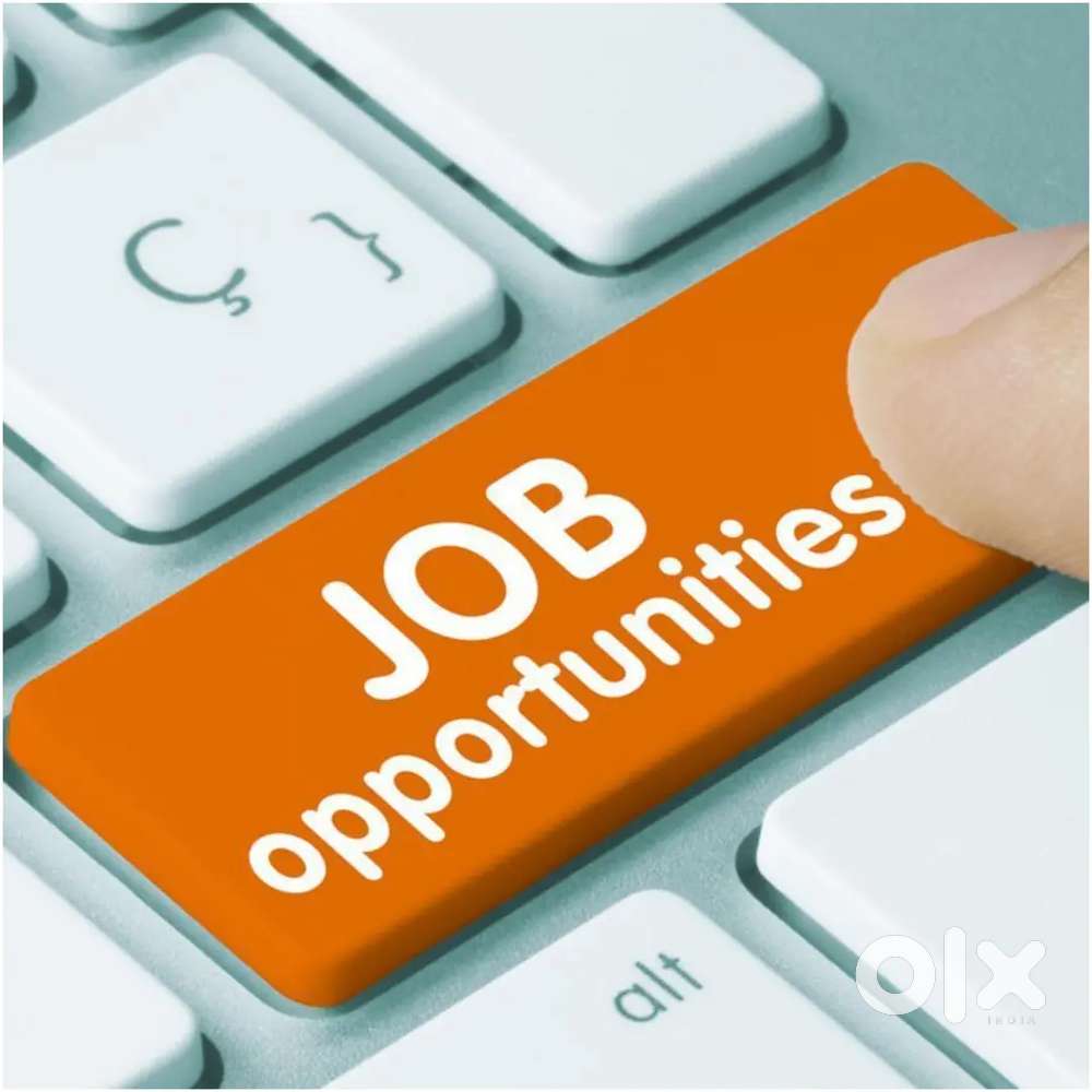 Job in Jabalpur Balaji realities