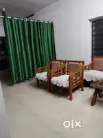 Roommate needed