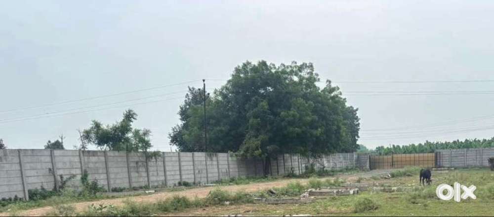 Open godown for rent