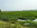 మంగళగిరి హైవేకి 1km దూరంలో తెనాలి రోడ్ సమీపంలో 100 అడుగులు రోడ్