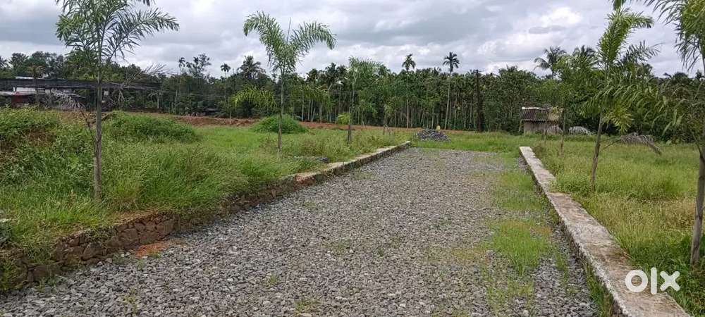 അങ്കമാലി തുറവൂരിൽ 4 cent മുതൽ Residential plot കൾ വില്പനയ്ക്ക്