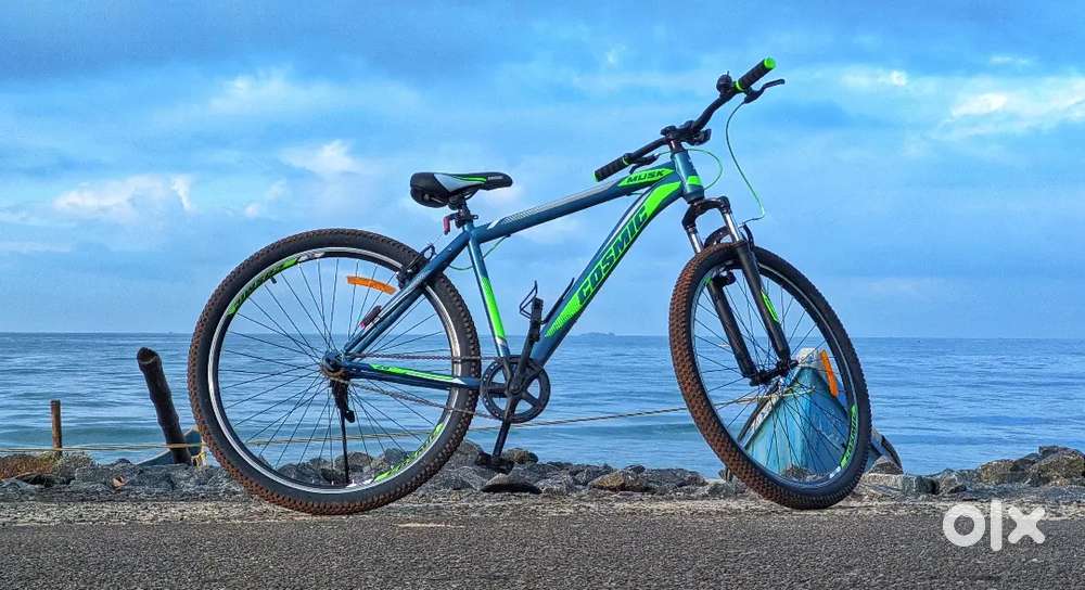 Cosmic Musk 18.5 Bicycle