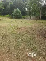 Land sale @ Shirva